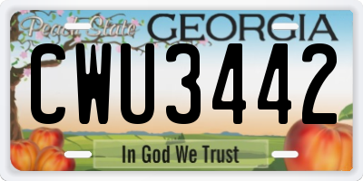 GA license plate CWU3442