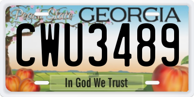 GA license plate CWU3489