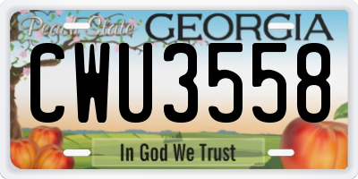 GA license plate CWU3558