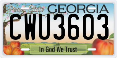 GA license plate CWU3603