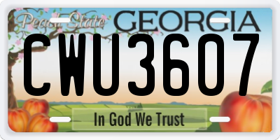GA license plate CWU3607