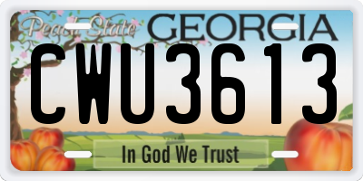 GA license plate CWU3613