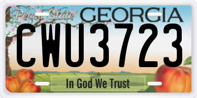 GA license plate CWU3723