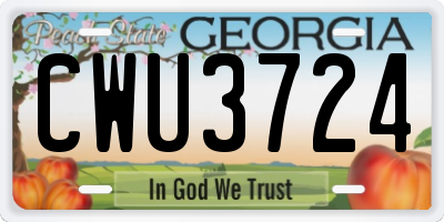 GA license plate CWU3724