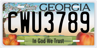 GA license plate CWU3789