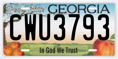 GA license plate CWU3793