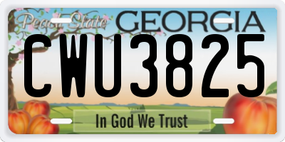 GA license plate CWU3825