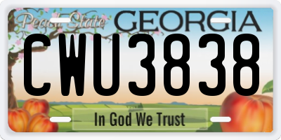 GA license plate CWU3838