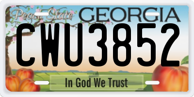 GA license plate CWU3852