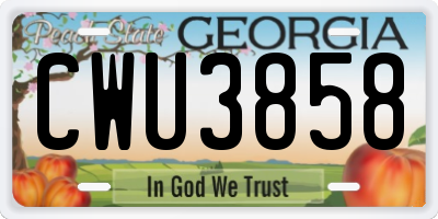 GA license plate CWU3858