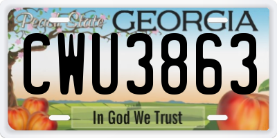 GA license plate CWU3863
