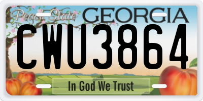 GA license plate CWU3864