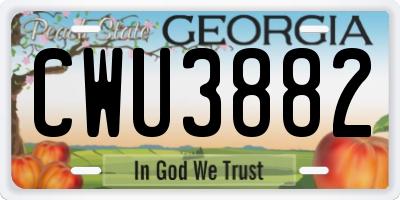 GA license plate CWU3882