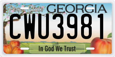 GA license plate CWU3981