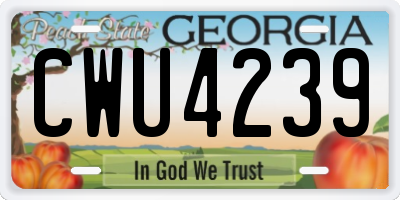GA license plate CWU4239