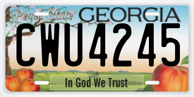 GA license plate CWU4245