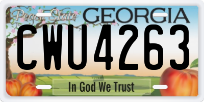 GA license plate CWU4263