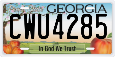 GA license plate CWU4285