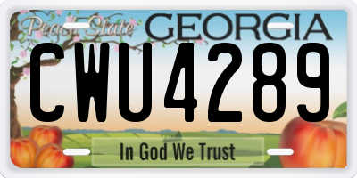GA license plate CWU4289