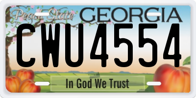 GA license plate CWU4554
