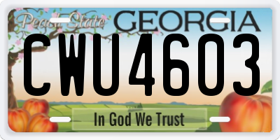 GA license plate CWU4603
