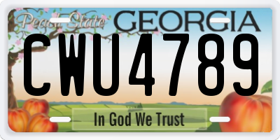 GA license plate CWU4789