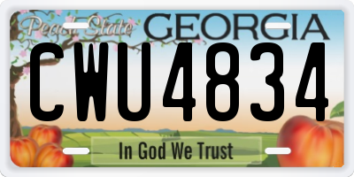 GA license plate CWU4834