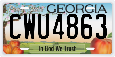 GA license plate CWU4863