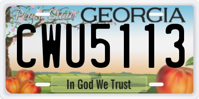 GA license plate CWU5113