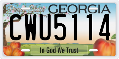 GA license plate CWU5114