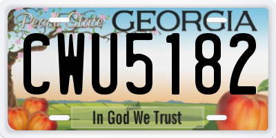 GA license plate CWU5182