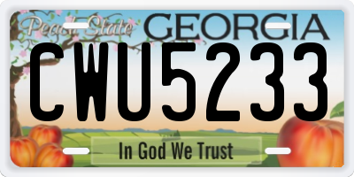 GA license plate CWU5233