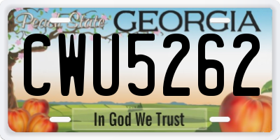 GA license plate CWU5262