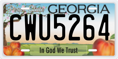 GA license plate CWU5264