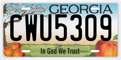 GA license plate CWU5309