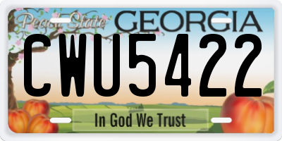 GA license plate CWU5422