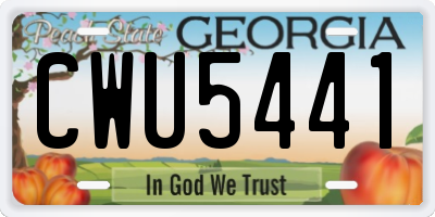 GA license plate CWU5441