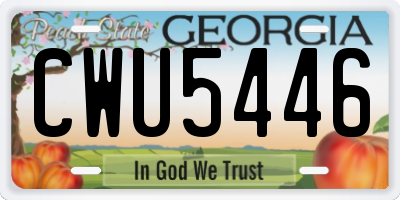 GA license plate CWU5446