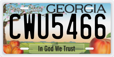 GA license plate CWU5466