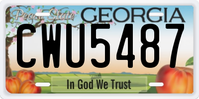 GA license plate CWU5487