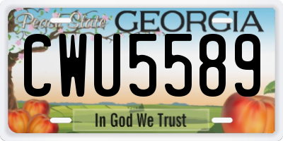 GA license plate CWU5589