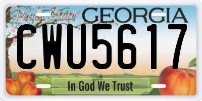 GA license plate CWU5617