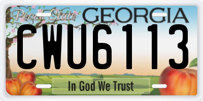 GA license plate CWU6113