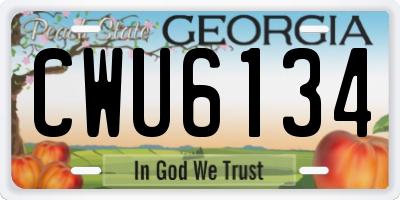GA license plate CWU6134