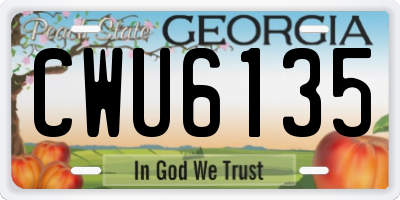 GA license plate CWU6135