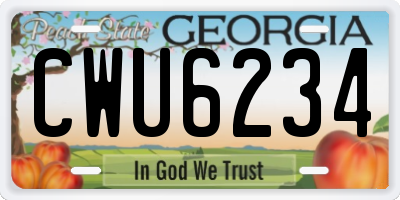 GA license plate CWU6234