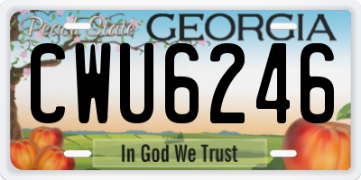 GA license plate CWU6246