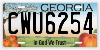 GA license plate CWU6254