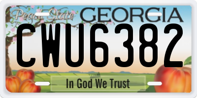 GA license plate CWU6382