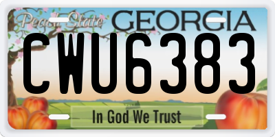 GA license plate CWU6383